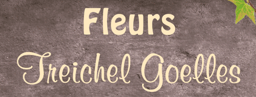 Fleurs Treichel Goelles