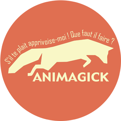 Logo Animagick SARLS