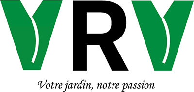 VRV Services