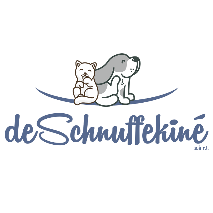 de Schnuffekiné Sàrl