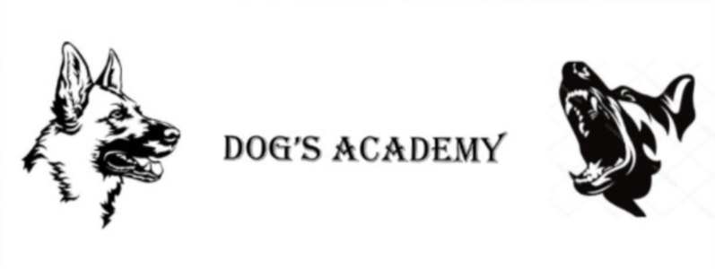 Dog's Academy SARLS