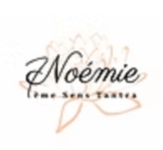 Logo Noémie 7ème Sens Tantra