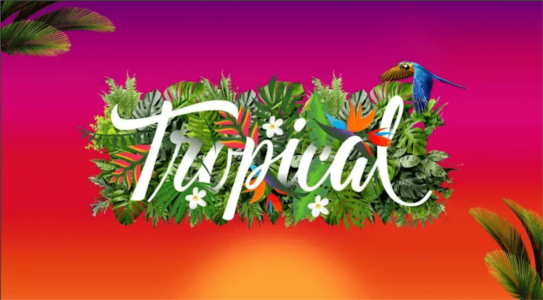 The Tropical Bar