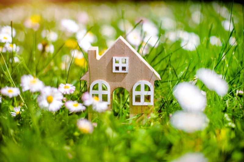 Maintenance of his house in the spring