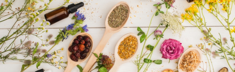 Naturopathie, eng global Iwwerleeung vum Eenzelnen