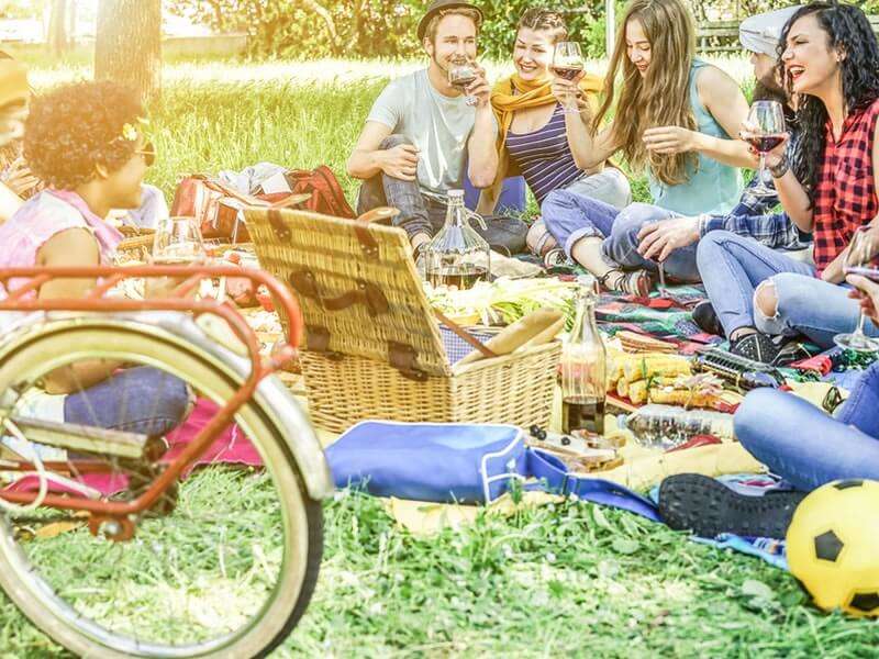 How to organize a memorable picnic?