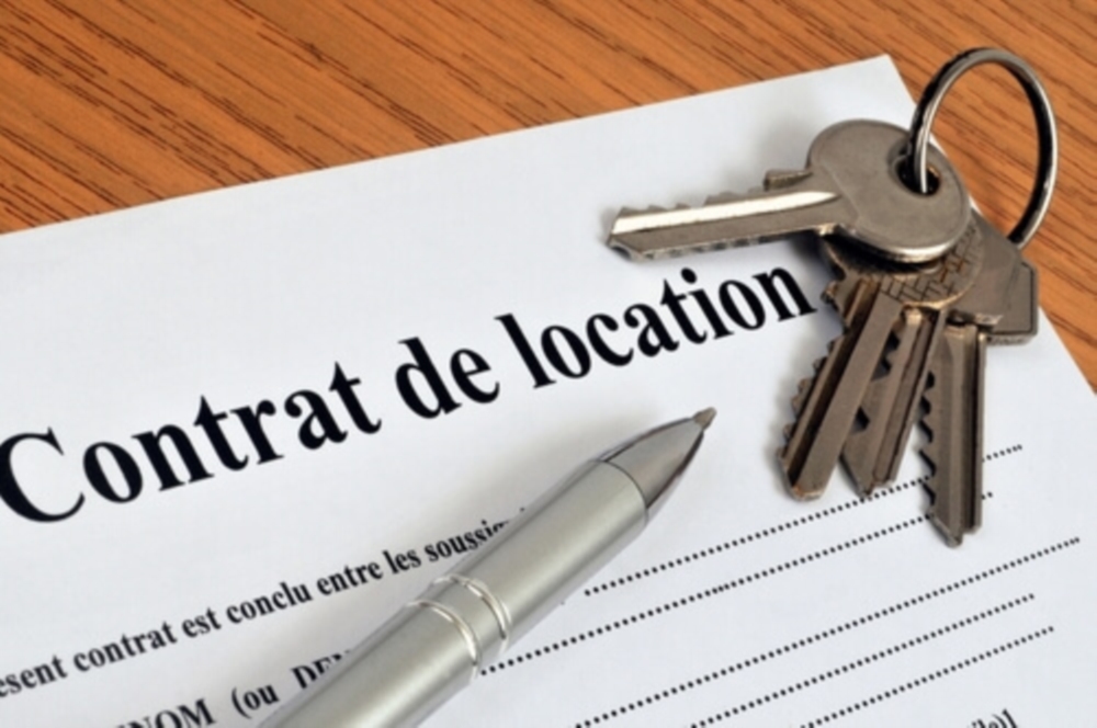 Location & gestion locative