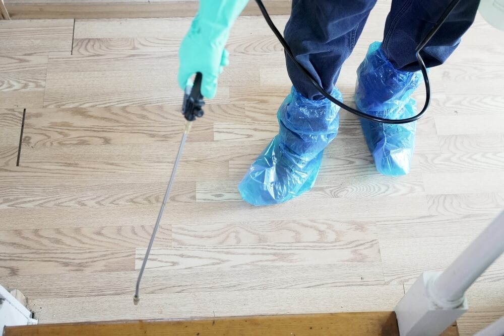 NCA, l’expert luxembourgeois de la protection 5D