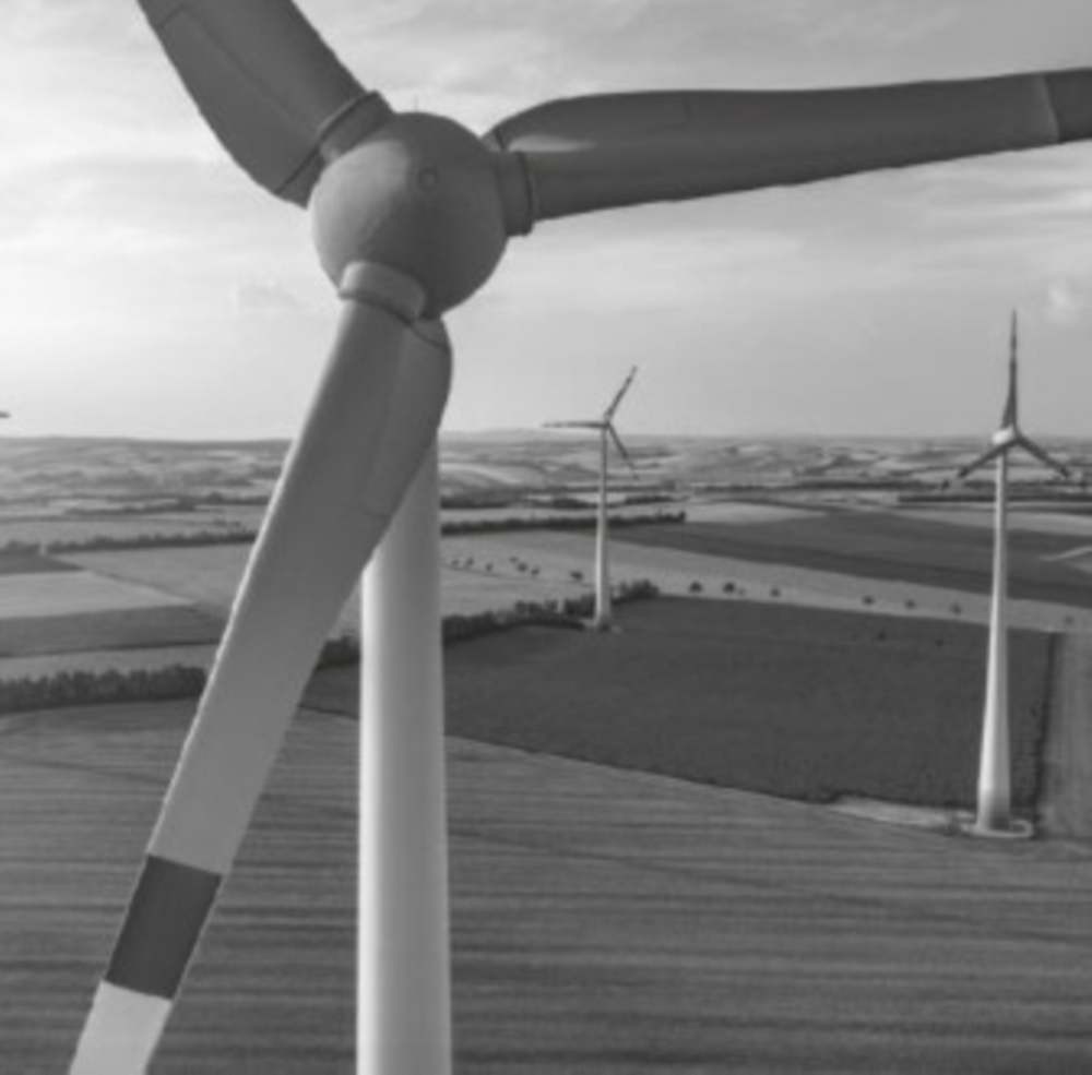 MC Développement durable