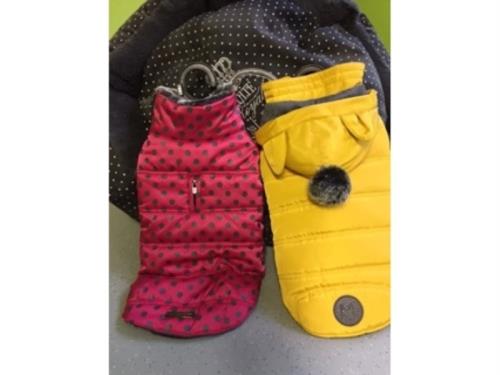 Accessoires pour animaux