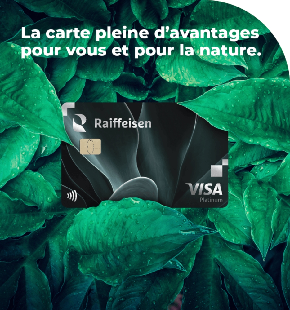 Sustainable Visa credit cards