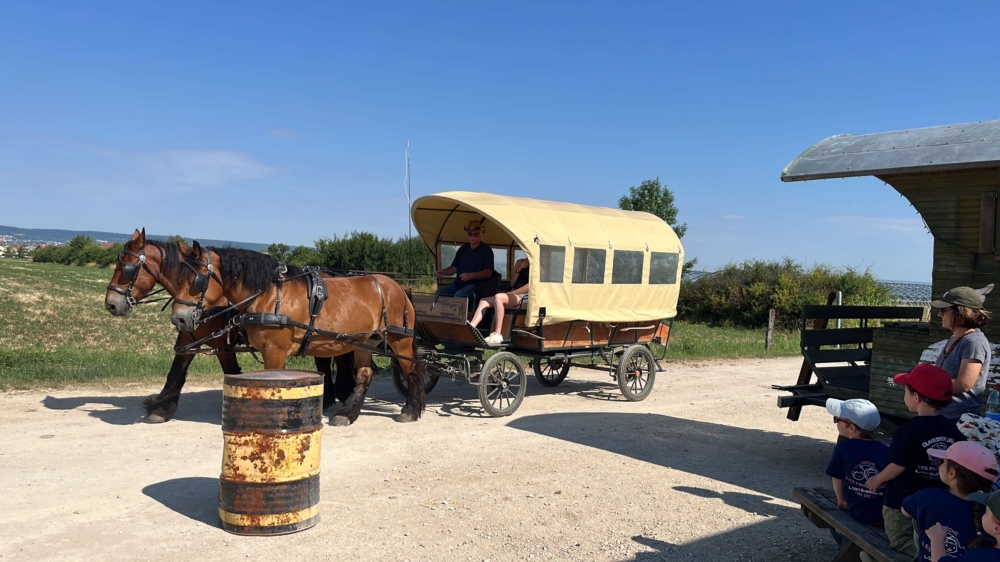 Activités été 2025 avec les enfants