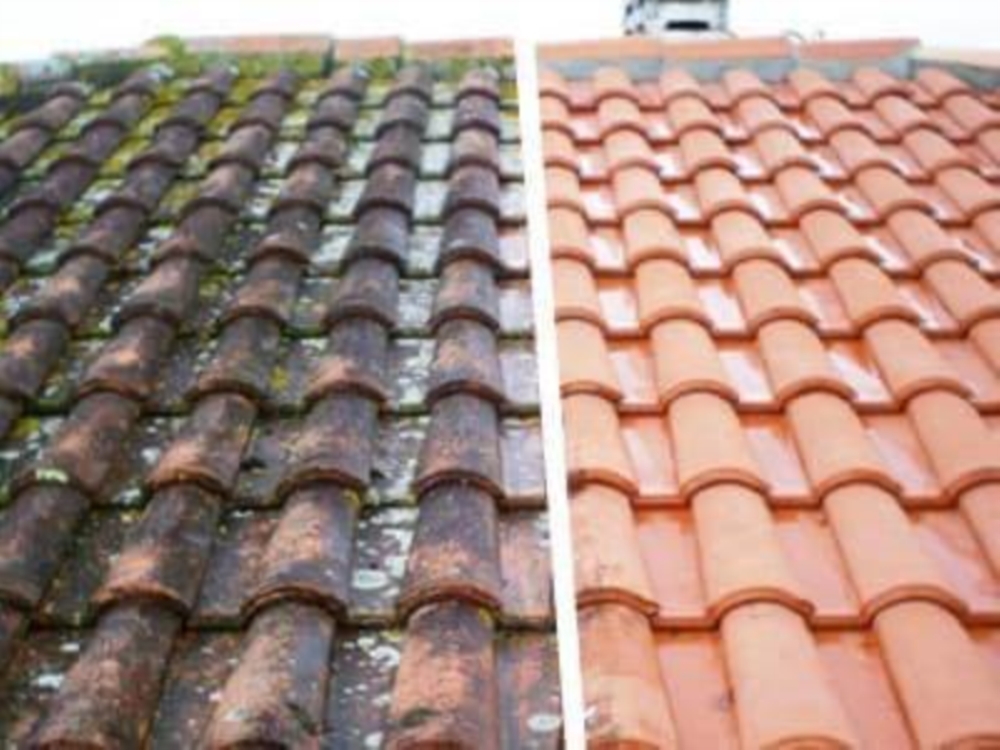 Nettoyage & Démoussage