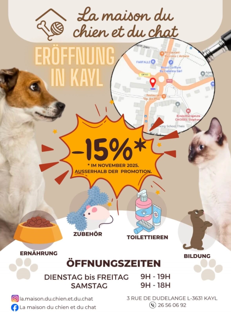 Offre spéciale –15 % tout le mois de novembre