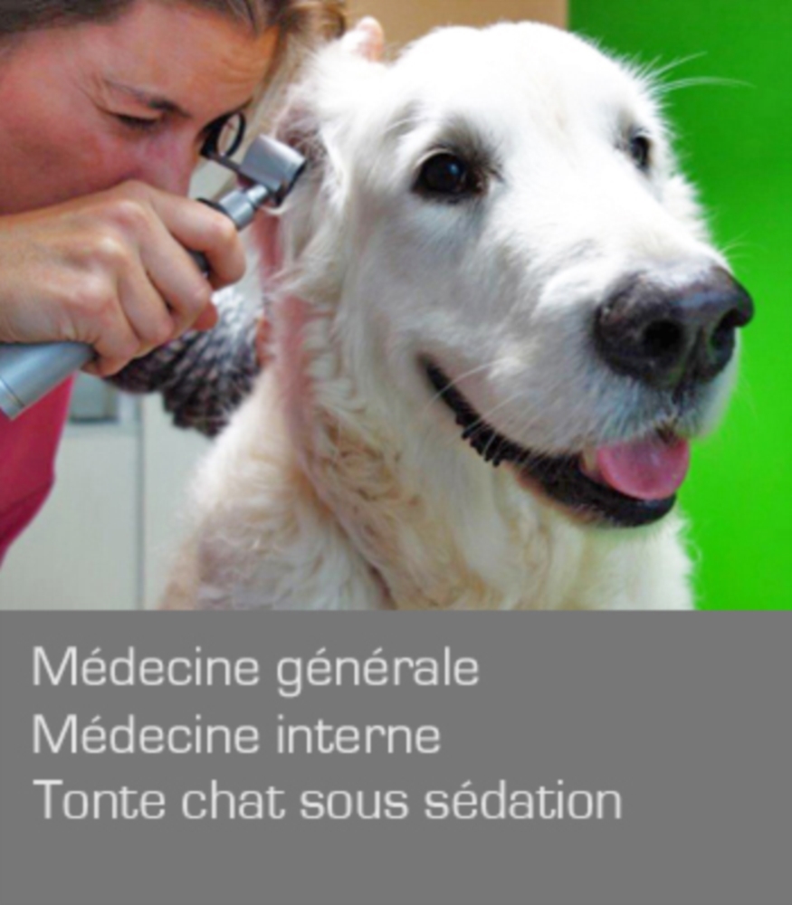 Médecine générale