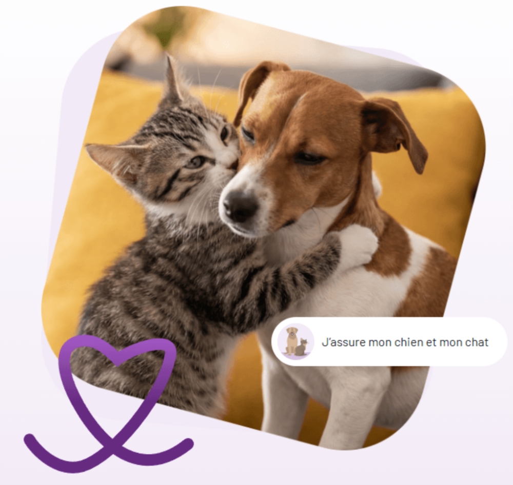 Assurance chien & chat