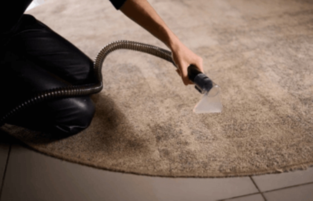 Entretien du Tapis Vorace 