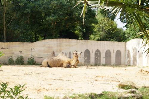 Excursion au zoo d'Amnéville