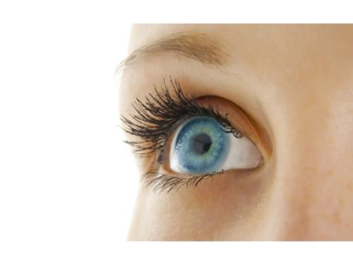 Lentilles