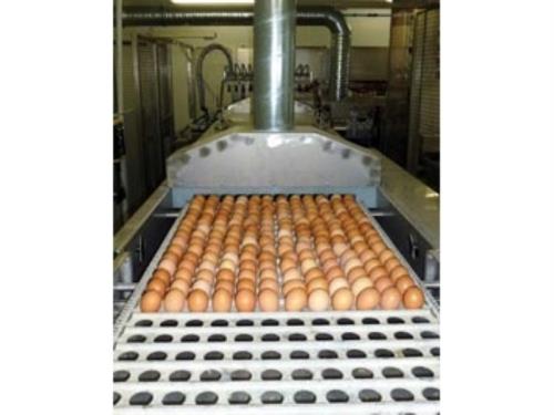 Cuisson des oeufs 