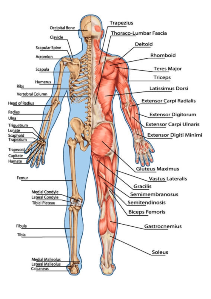 Massage sur-mesure 