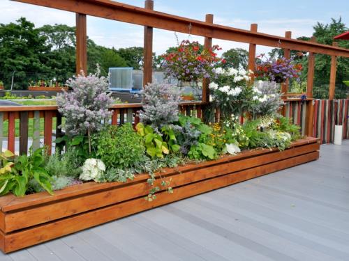 Aménagement terrasse