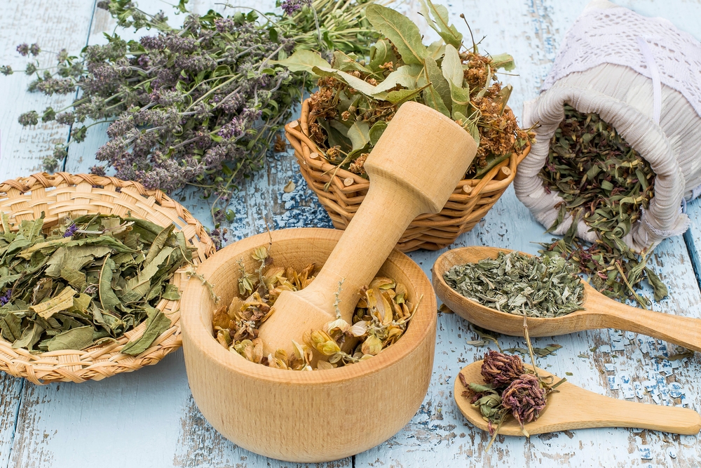Phytotherapie