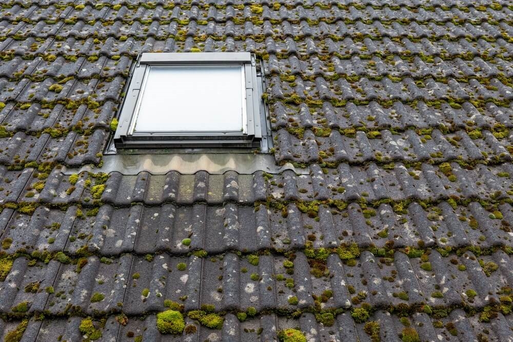 Entretien de la toiture et des façades