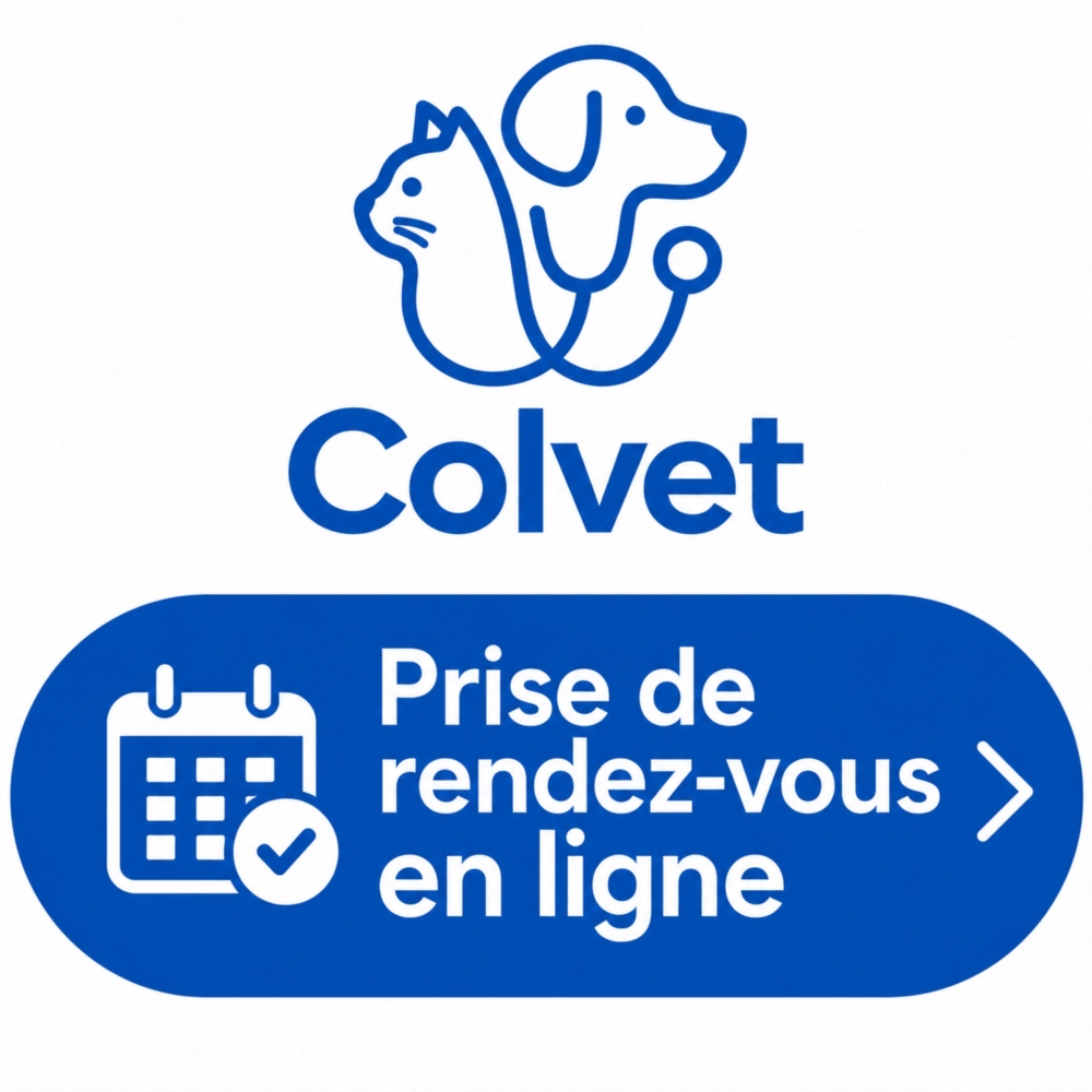 Prise de rendez-vous en ligne