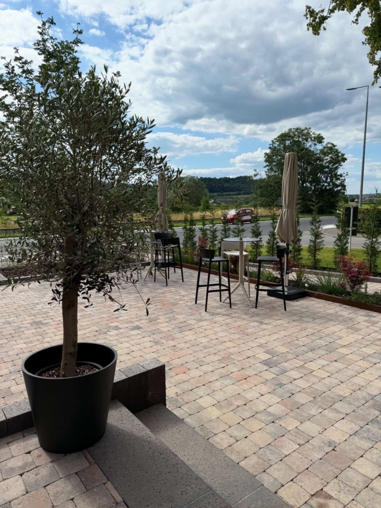 Vinothèque & dégustations