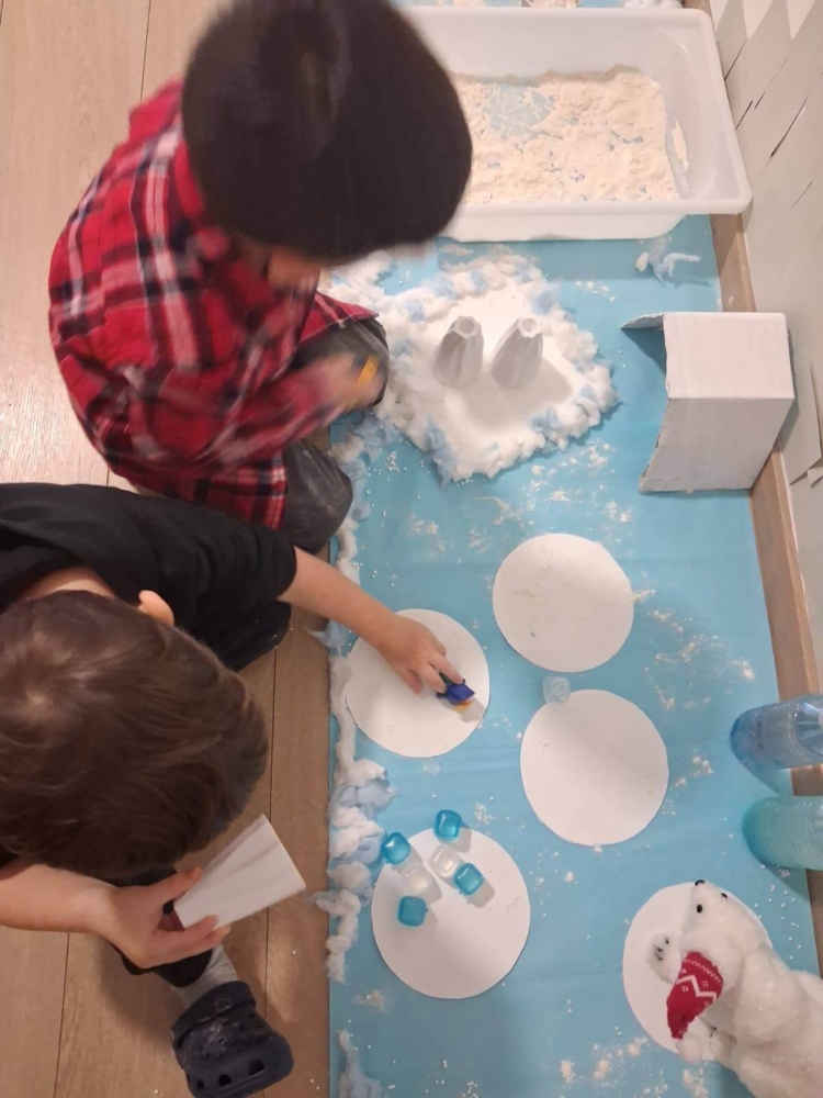 Bienvenue sur la banquise