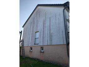 Nettoyage de façade (traitement anti mousse)