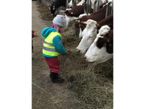 A la ferme