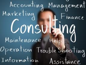 Consulting services