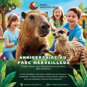 Anniversaire d'enfant (hors saison)