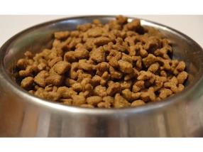 Conseils en nutrition animalière