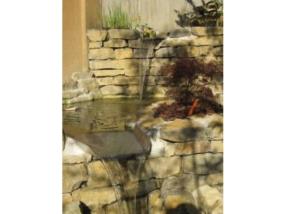 Création d'un bassin en pierre & fontaine