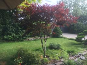 Aménagement jardin