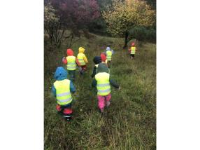 Balade en forêt