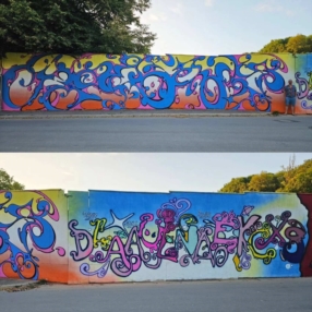 Fresques murales & projets street art