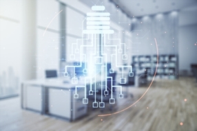 Optimisation & rentabilité