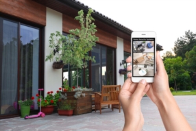 Surveillance & services