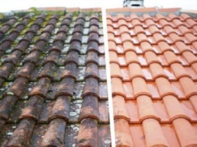 Nettoyage & Démoussage