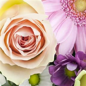 Livraison de fleurs