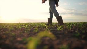 Un soutien concret pour les exploitations agricoles