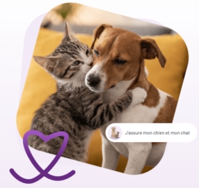 Assurance chien & chat
