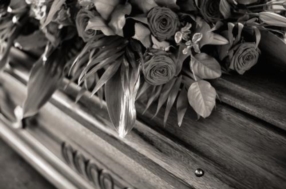 Aide administratives 