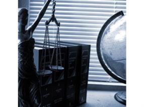 Services pour les professionnels du droit