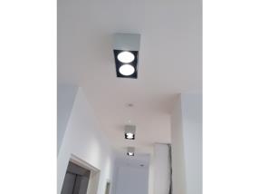 Luminaire