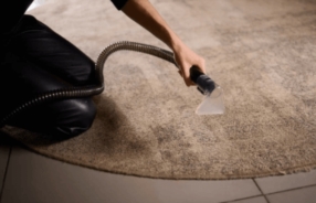 Entretien du Tapis Vorace 